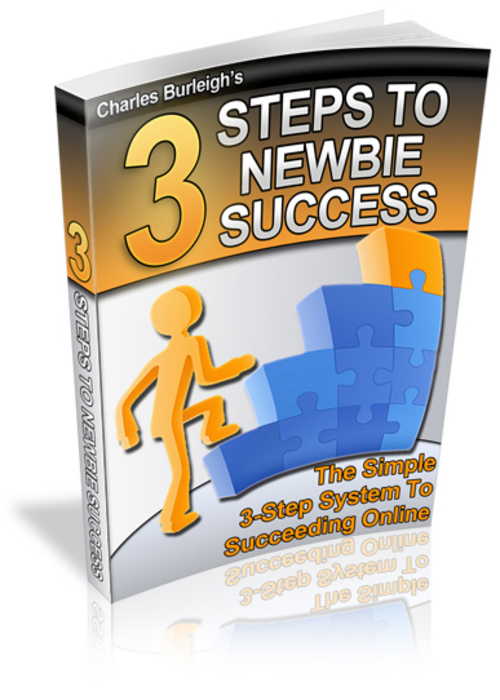Product picture 3 Steps to Newbie Success PLR