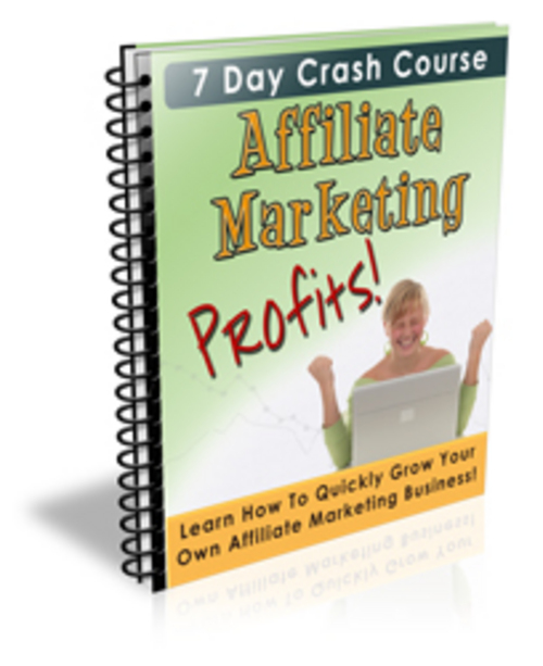 Product picture Affiliate Marketing Profits PLR