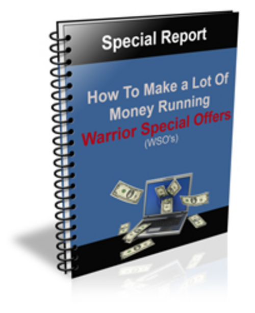 Product picture WSO MONEY PLR